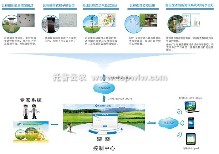 植保信息化