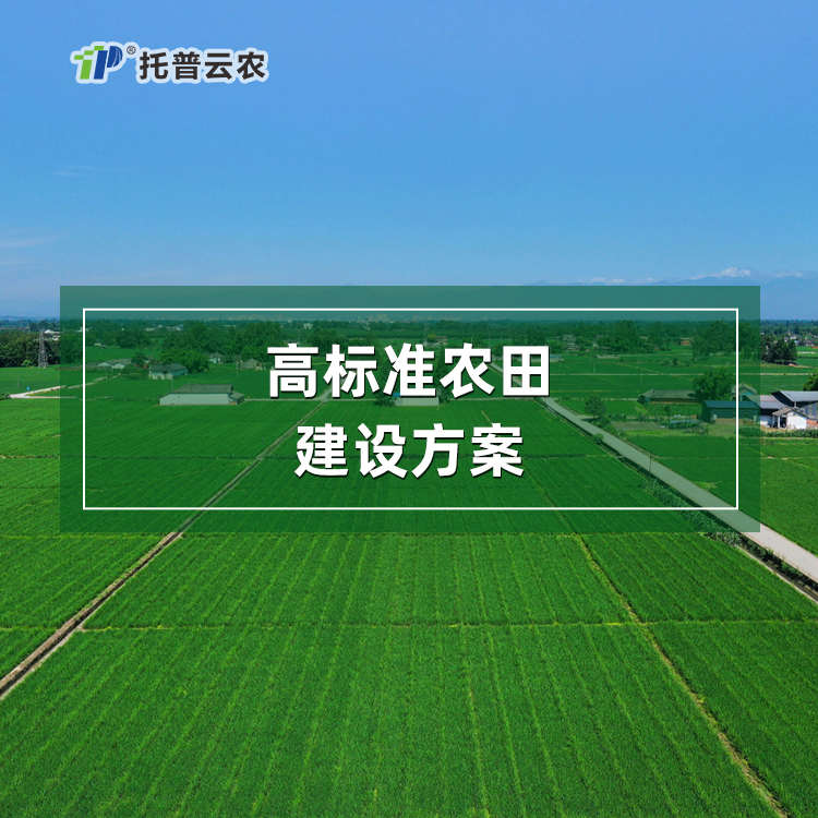 高標(biāo)準(zhǔn)農(nóng)田建設(shè)綜合解決方案